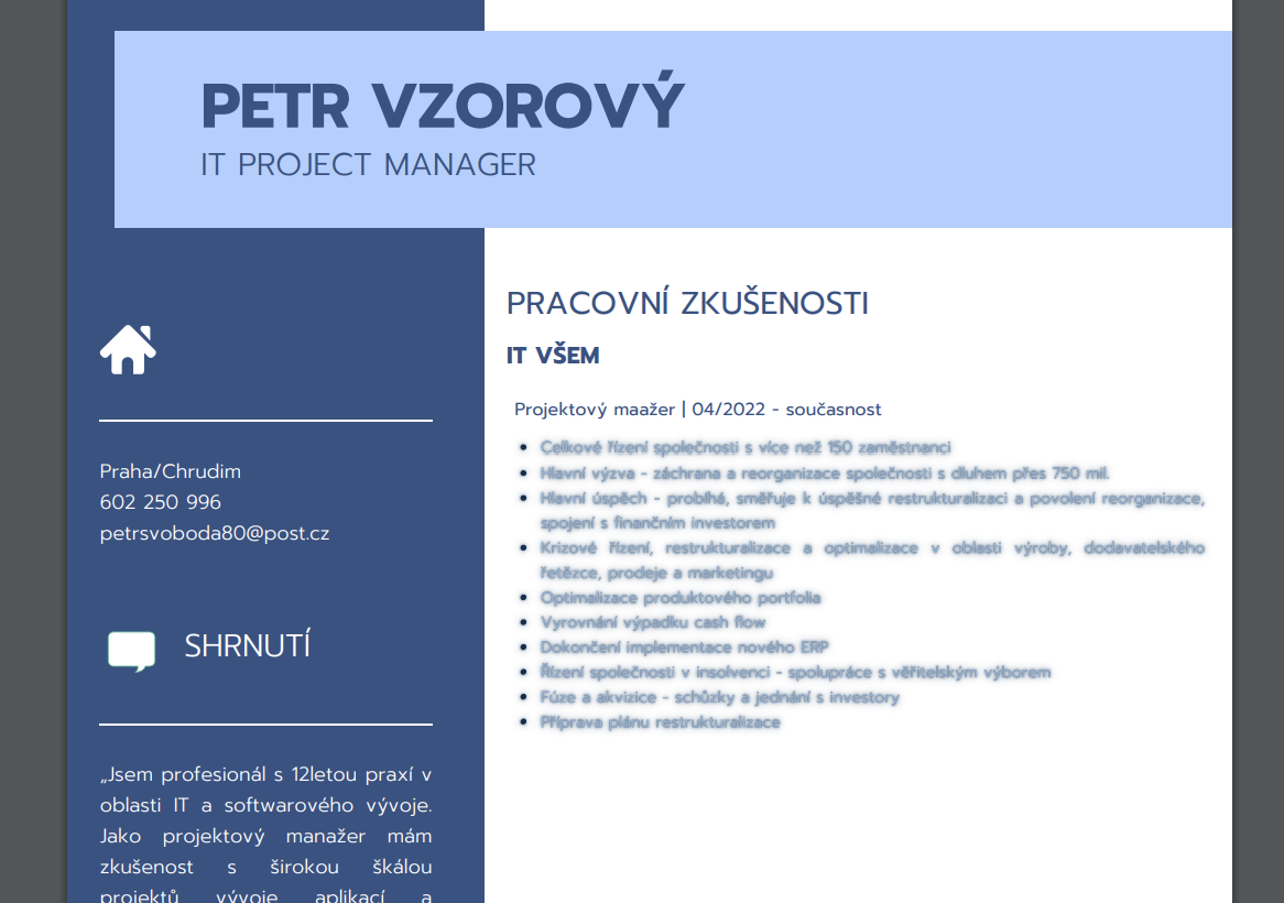 profesní představení v životopise - vzor - grafika